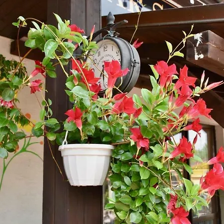 Penzion-bar Sandra Belkovice